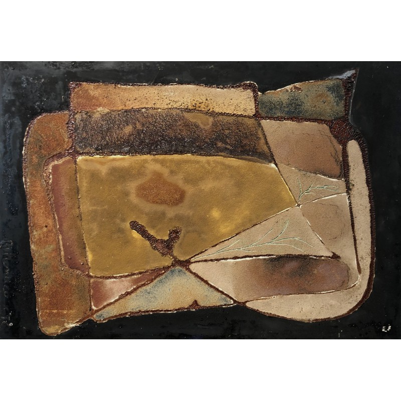 Campi arati