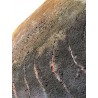 Curvature terrestri